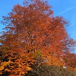 Couette-café Château Du Puech 4*