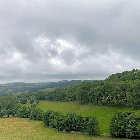 Chateau Du Puech En Aubrac 4* Curieres
