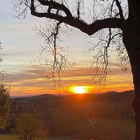 Bed & Breakfast Chateau Du Puech En Aubrac Curieres