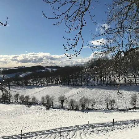 Chateau Du Puech Bed & Breakfast *